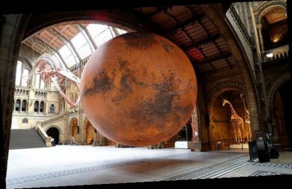 London's Natural History Museum installs a HUGE model of Mars