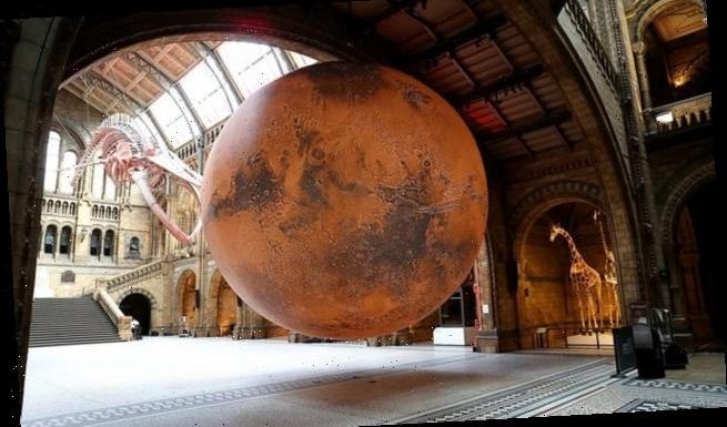 London's Natural History Museum installs a HUGE model of Mars