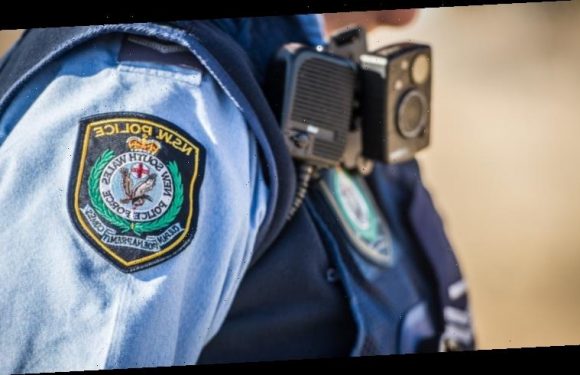 ‘Baby’ sighting sparks police search of south Sydney bay