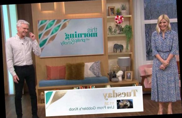 Holly Willoughby screeches 'is this actually happening' as This Morning goes live to tourist attraction Gobbler's Knob