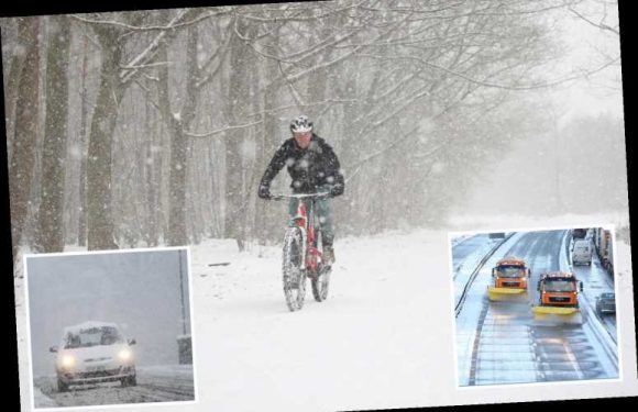 Snow warnings until Sunday after -20C coldest February night in 74 YEARS tonight with power cuts and travel chaos