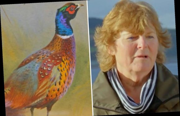 Antiques Roadshow guest gets whopping offer for rare painting – but refuses to sell for heart-breaking reason