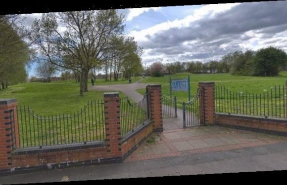 Toddler mauled by dog in park is rushed to hospital by air ambulance