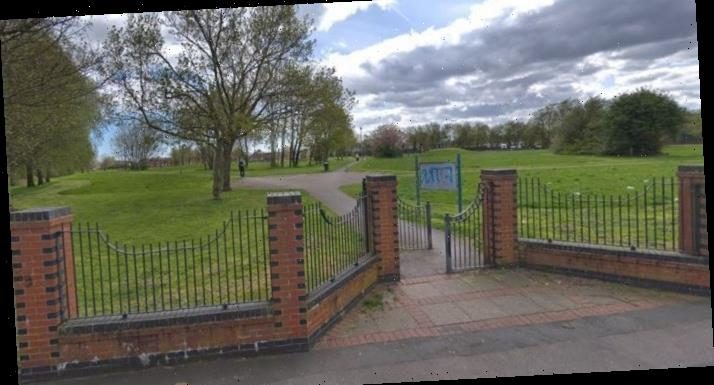 Toddler mauled by dog in park is rushed to hospital by air ambulance