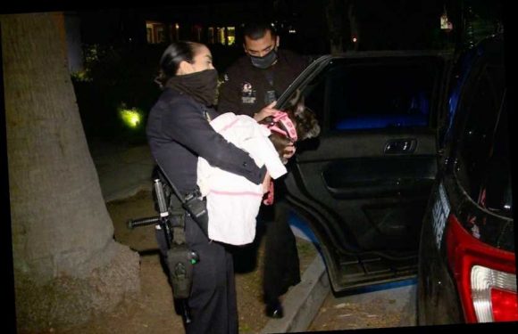 Who is Lady Gaga’s dog walker Ryan Fischer?