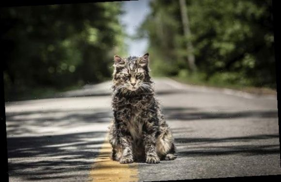 New 'Pet Sematary' and 'Paranormal Activity' Films Headed to Paramount+