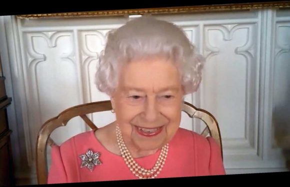 Queen Elizabeth II Is Well Accessorized for Zoom with Health Leaders