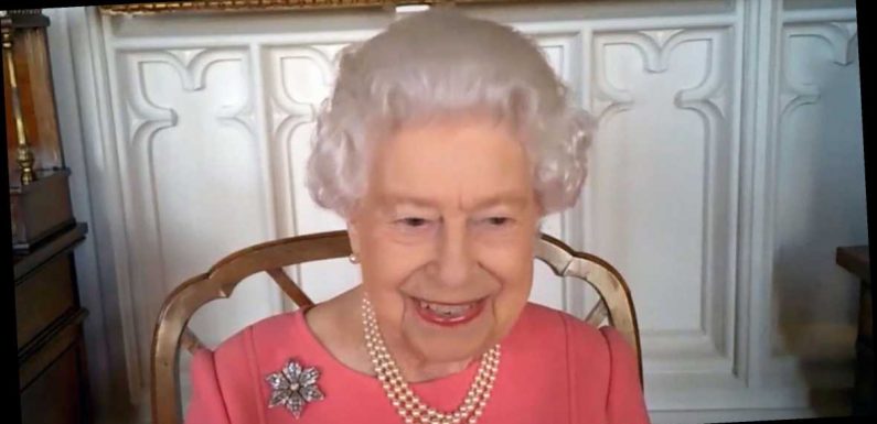 Queen Elizabeth II Is Well Accessorized for Zoom with Health Leaders