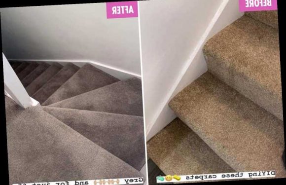 Savvy woman reveals how she dyed her stairs from brown to grey in one evening using Wilko £5 product