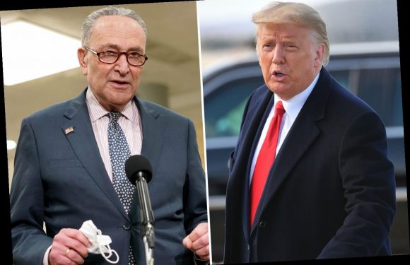 Dems weighing ‘Plan B’ to ban Trump from office using 14 amendment as impeachment conviction unlikely