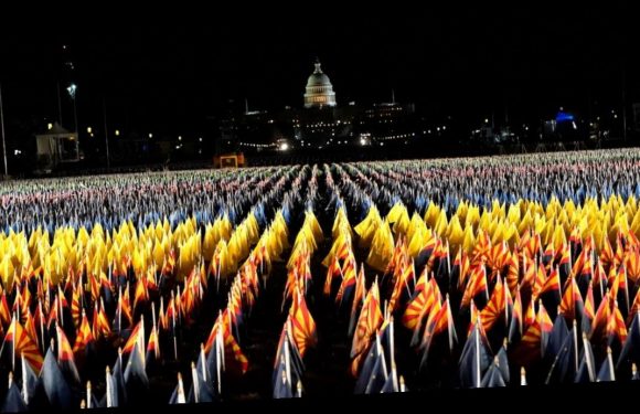 In a Stunning Tribute, Nearly 200,000 Flags Have Been Planted on the National Mall in DC