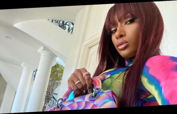Megan Thee Stallion's Groovy Dior Bag Has a Secret Message Written on the Bottom