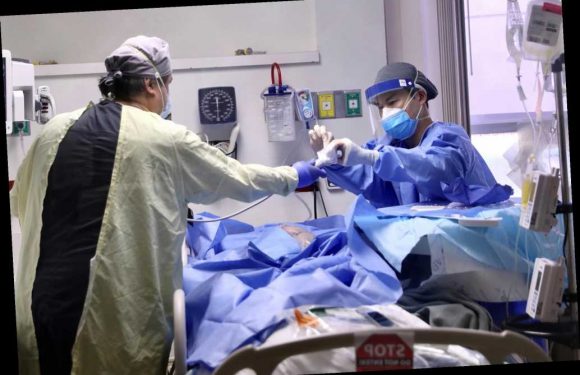 US records record 5,077 COVID deaths in a day after data audit