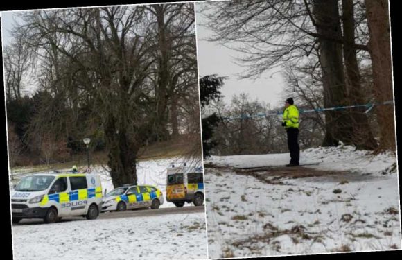 King's Park stabbing: Glasgow schoolboy seriously hurt after 'targeted' assault in broad daylight as cops hunt attackers