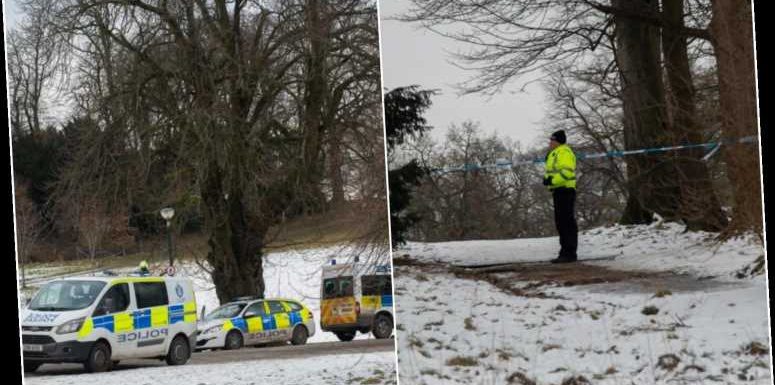 King's Park stabbing: Glasgow schoolboy seriously hurt after 'targeted' assault in broad daylight as cops hunt attackers