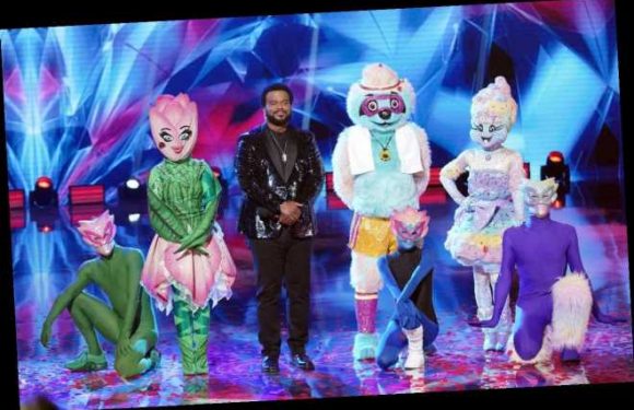 ‘Masked Dancer’ Finale: Winner Cotton Candy Is Unmasked as Olympic Gold Medalist Gymnast