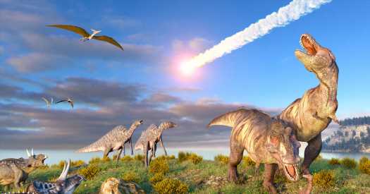 Where Did the Dinosaur-Killing Impactor Come From?