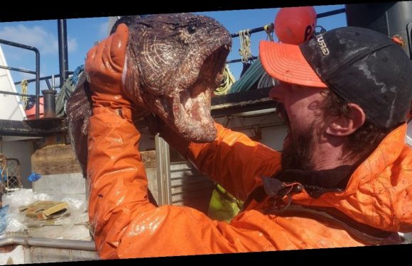 Fisherman captures ‘real-life sea monster’ with terrifying razor-sharp teeth