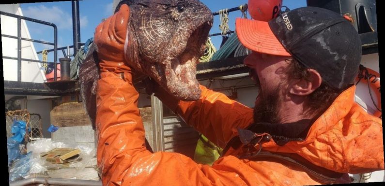 Fisherman captures ‘real-life sea monster’ with terrifying razor-sharp teeth