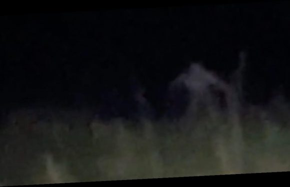 Horrifying moment ‘skinwalker’ leaps out of long grass and runs towards camera