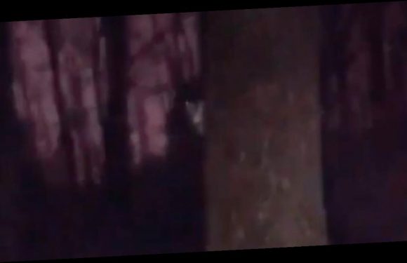 Chilling moment ‘demon’ appears behind tree as woman walks through park