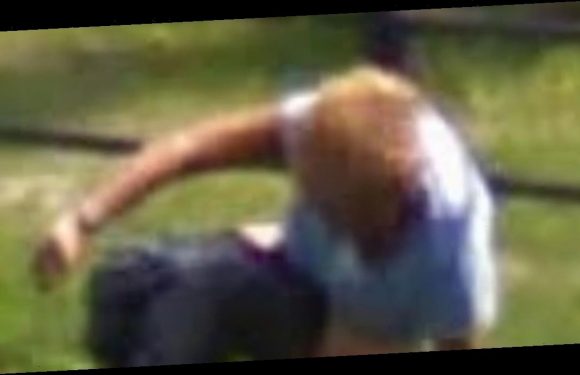 Eagle-eyed Google Maps user spots man appearing to do a poo in a field