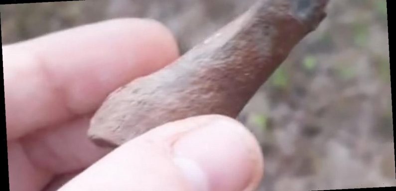 Bigfoot hunter finds ‘thumb bone’ of creature ‘twice as big as a human’s’
