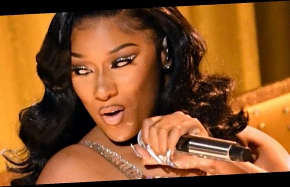 Megan Thee Stallion sends fans wild with topless snap after Grammys performance