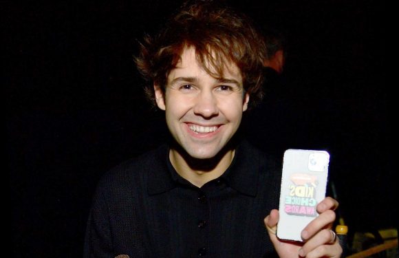 What brands dropped David Dobrik?