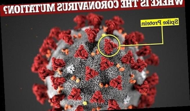 India claims it has spotted a 'double mutant' Covid variant