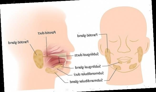 Almost HALF of Covid patients suffer swollen salivary glands