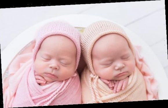 More human twins are being born than ever before, study says