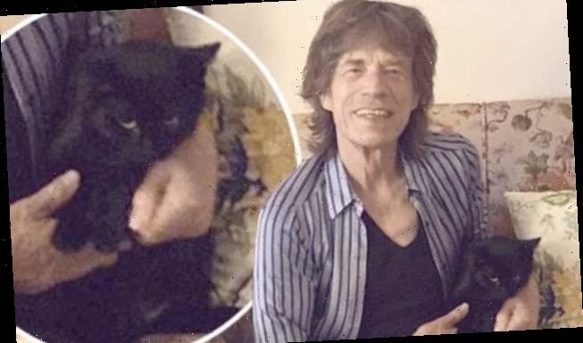 Rolling Stones rocker Mick Jagger introduces his camera shy pussy Nero