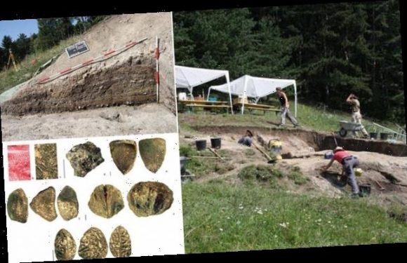 Bronze Age Austrian miners had dinner DELIVERED to their workplace