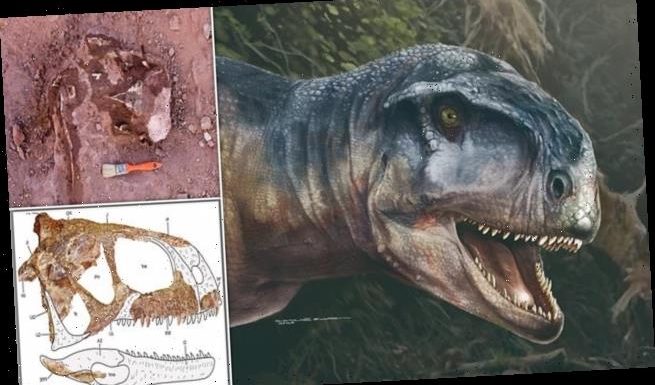 Terrifying new species of dinosaur dubbed 'the one who causes fear'