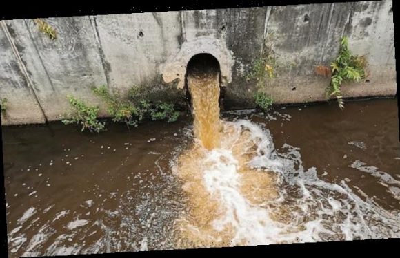 400,000 spills of sewage leaked into England's rivers and seas in 2020
