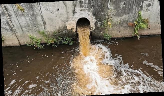 400,000 spills of sewage leaked into England's rivers and seas in 2020