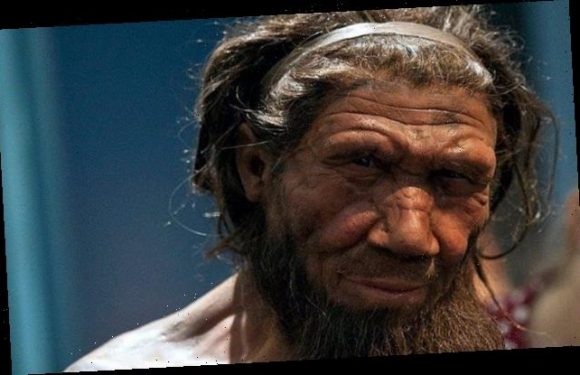 Neanderthals could SPEAK just like modern humans