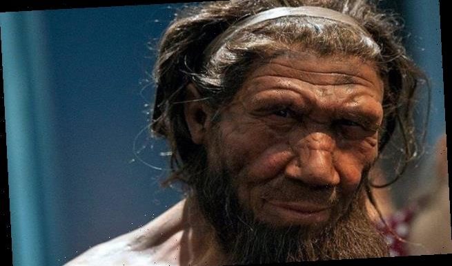 Neanderthals could SPEAK just like modern humans