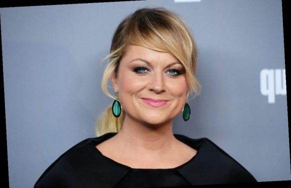 'Moxie' and Other Movies, TV Shows on Netflix Starring Amy Poehler