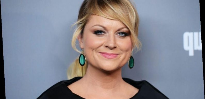 'Moxie' and Other Movies, TV Shows on Netflix Starring Amy Poehler