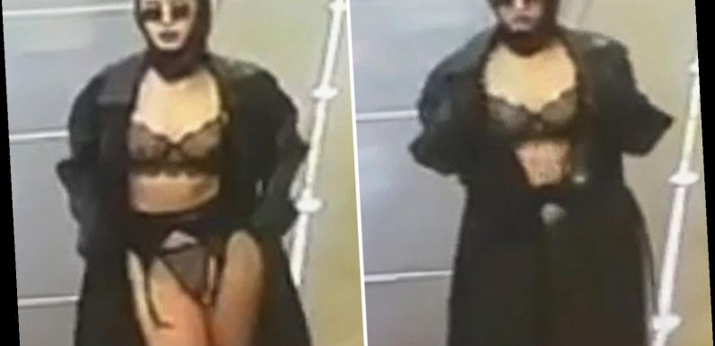 Mystery woman performs subway strip tease as she unfastens coat to reveal her lingerie to CCTV before strutting off – The Sun
