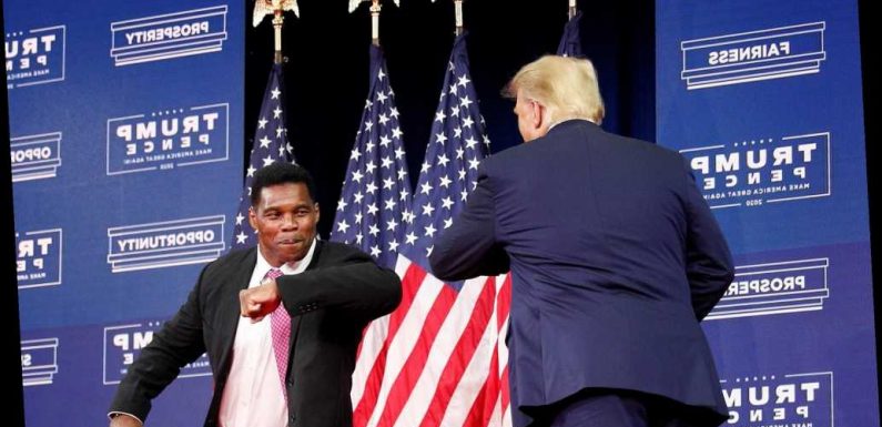 Donald Trump urges Herschel Walker to enter Georgia Senate race