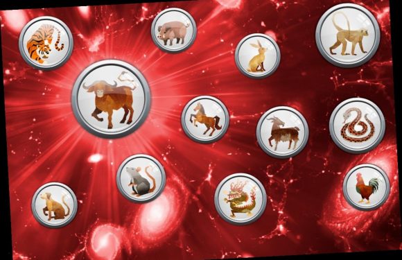 Daily Chinese Horoscope Saturday March 20: What your zodiac sign has in store for you today