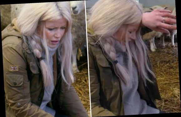 Countryfile's Ellie Harrison fights back tears as Adam Henson saves newborn lamb in 'distressing' BBC scenes