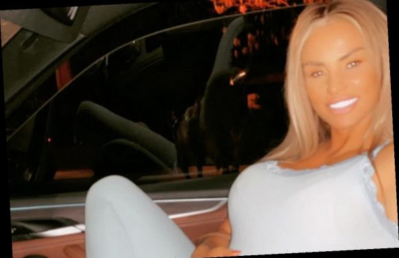 Is Katie Price pregnant?