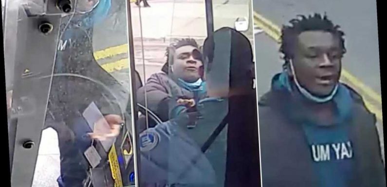 Video shows man spitting at, punching MTA bus driver