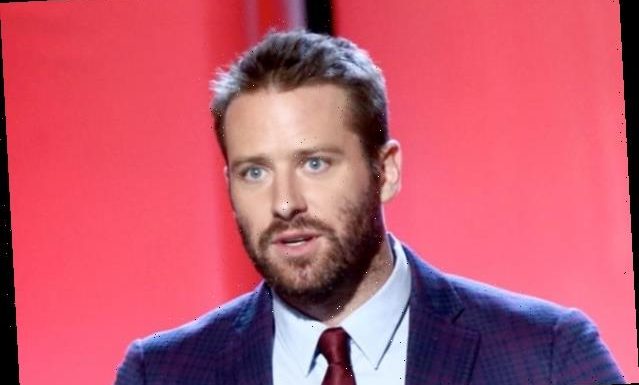 Armie Hammer Accused of Rape and Banging a Woman's Head Against a Wall in 2017