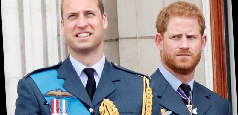 Prince Harry and Prince William 'Could Have Been So Brilliant,' Says Source: It's 'Heartbreaking'