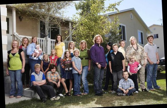 Sister Wives: A Guide to the Polygamous Family